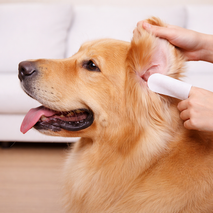Pet Ear Cleaning Finger Wipes – Remove Wax, Dirt & Odor in Seconds
